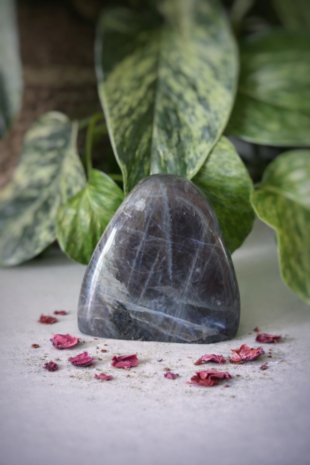 Labradorite violette 229g