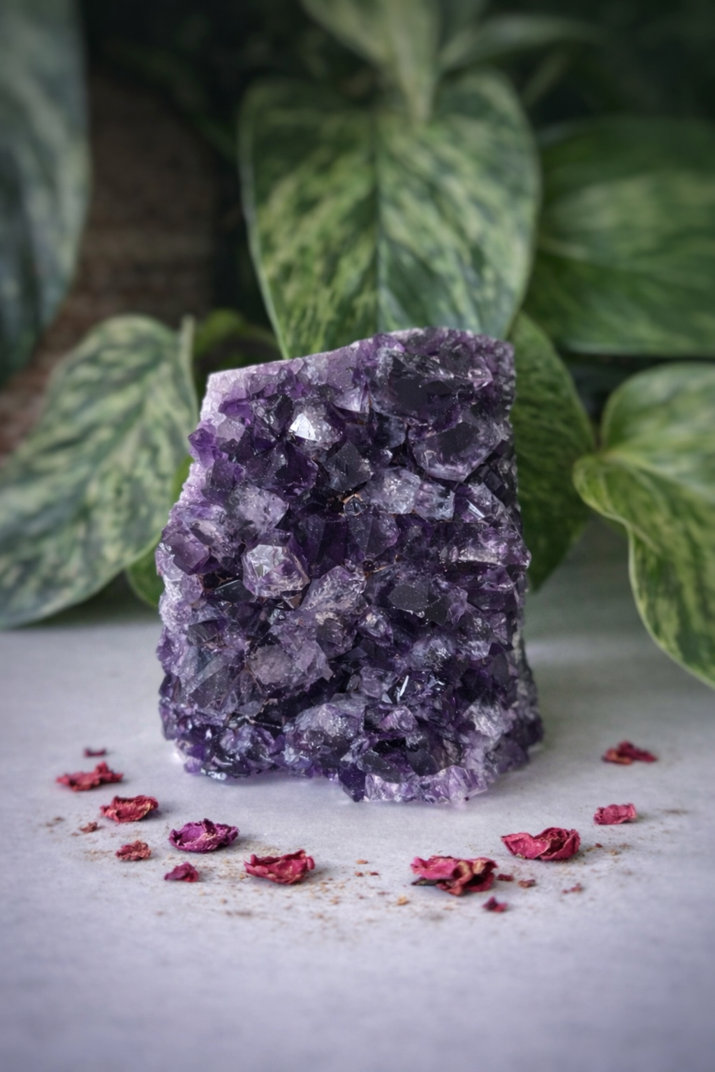 Géode améthyste 398g