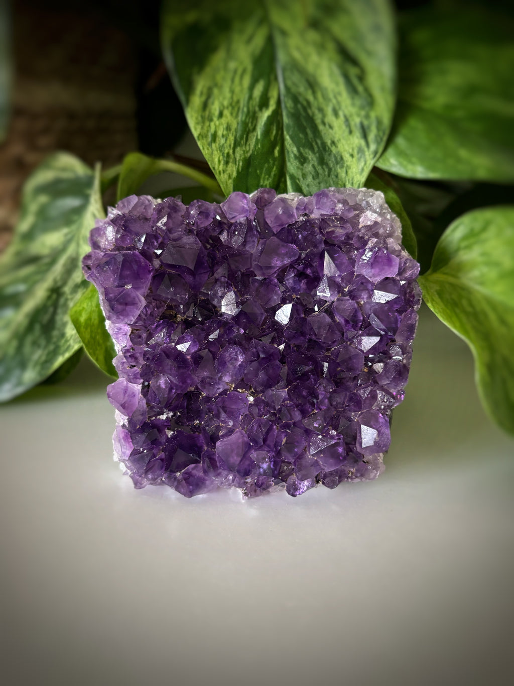 Géode améthyste 595g