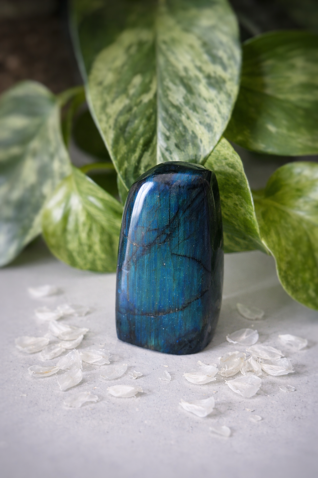 Labradorite bleue 211g