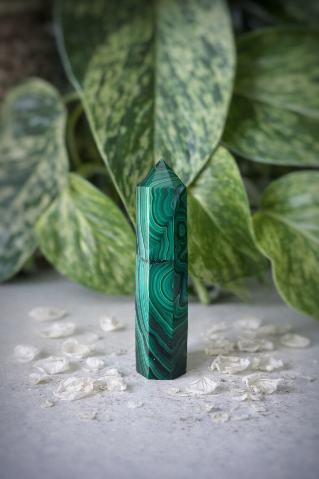 Pointe malachite 37g