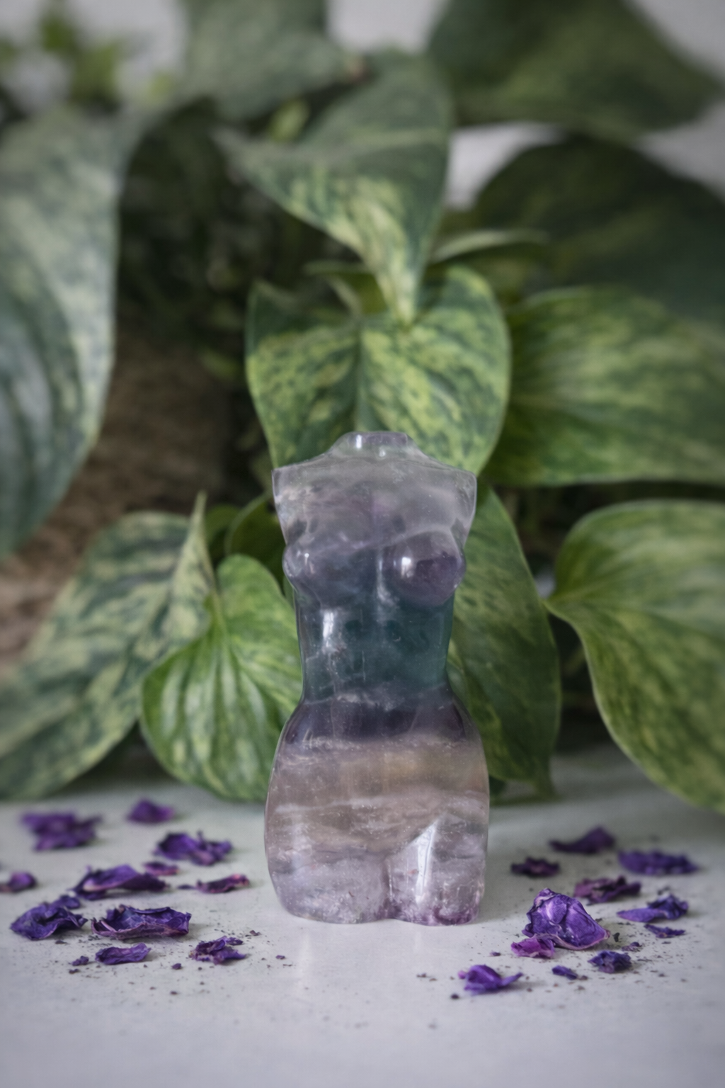 Buste femme Fluorite 150g