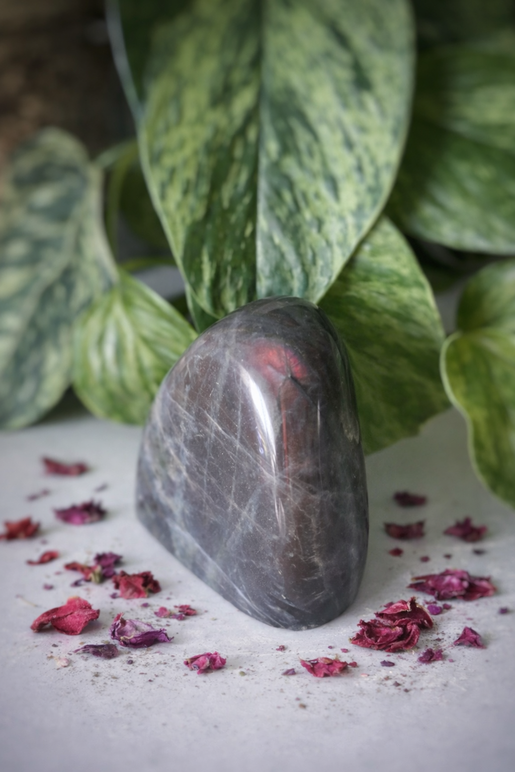 Labradorite violette 229g