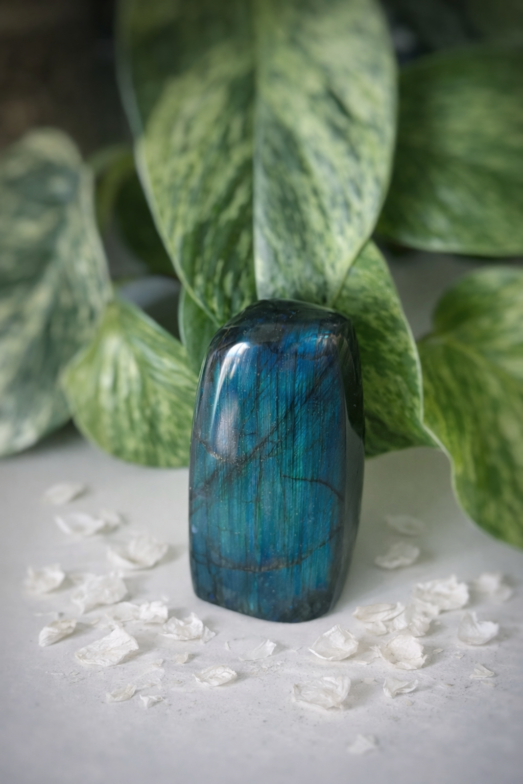 Labradorite bleue 211g