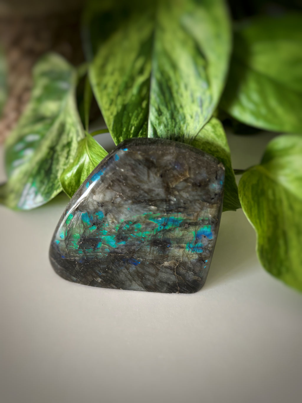 Labradorite bleue 340g