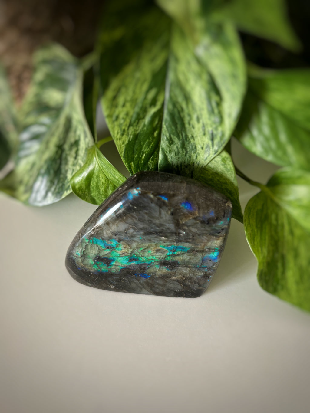 Labradorite bleue 340g