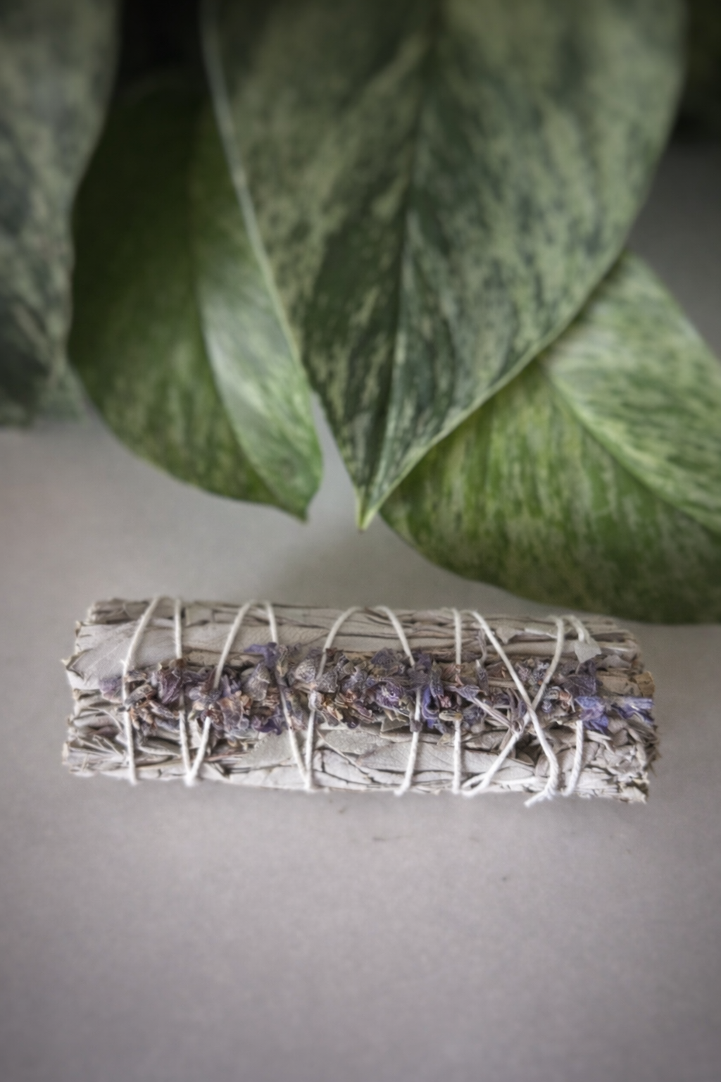 Bâton de Sauge Blanche & Lavande