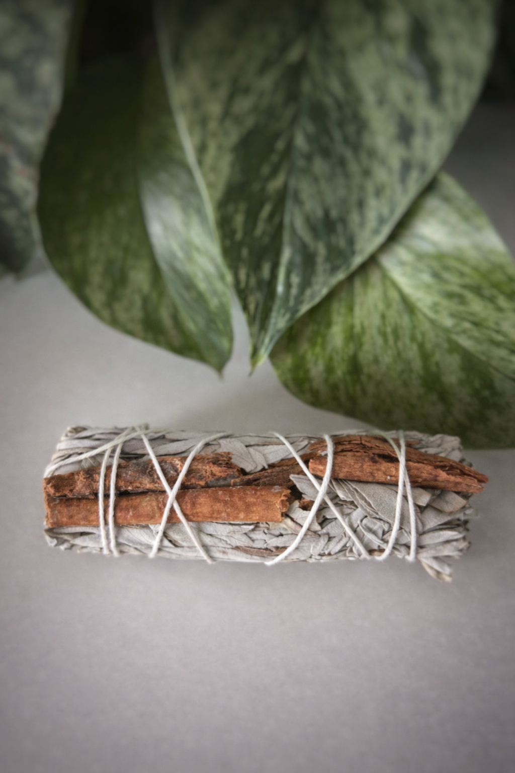 Bâton de Sauge Blanche & Cannelle