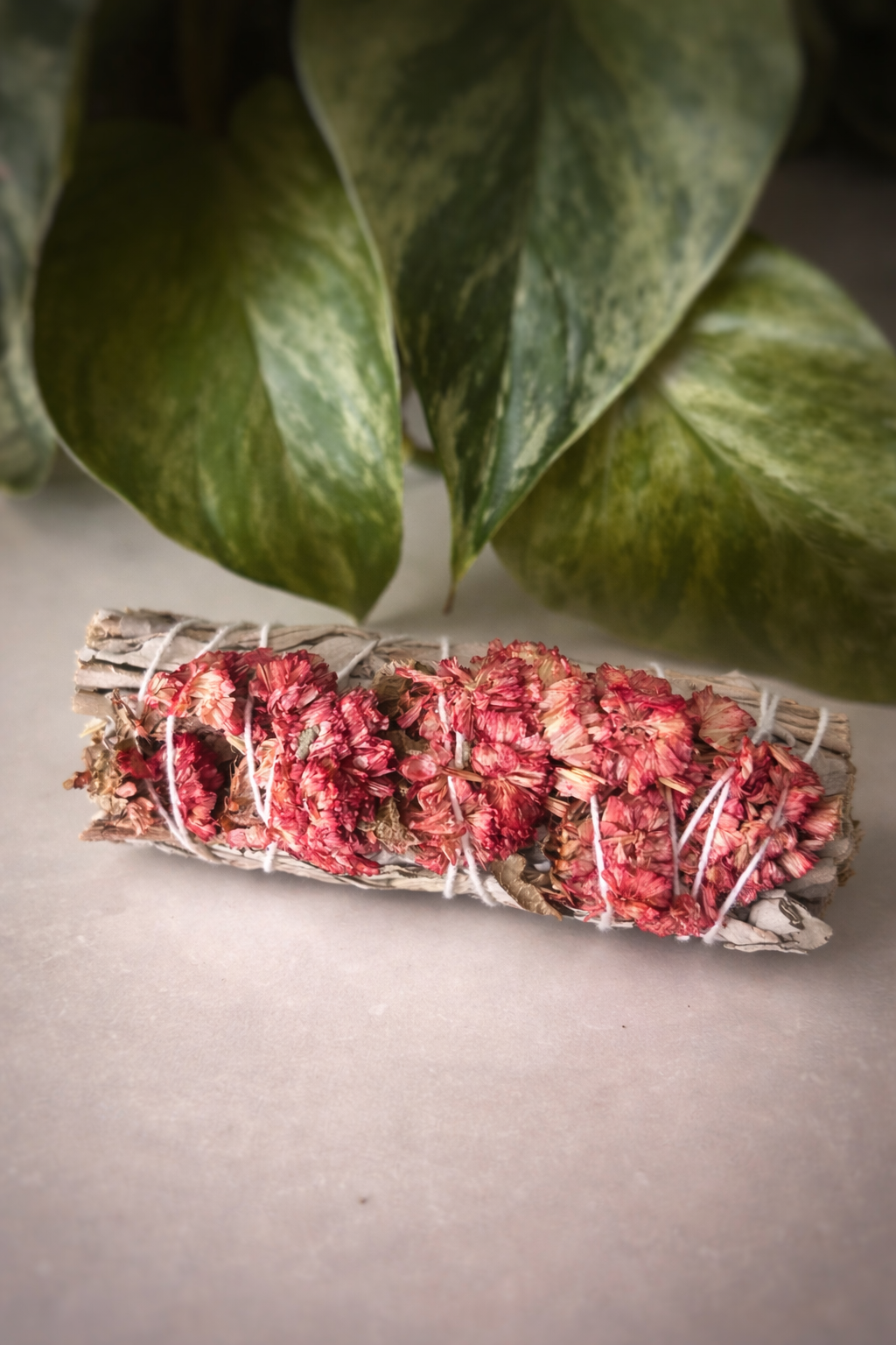 Bâton de Sauge Blanche & Lavande de Mer Rouge