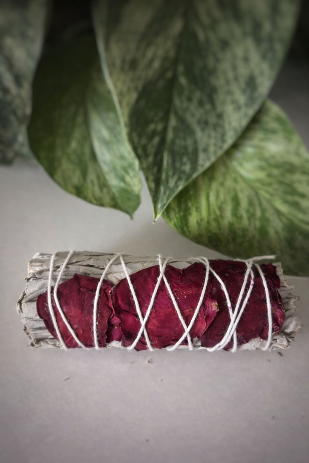 Bâton de Sauge Blanche & Pétales de Rose