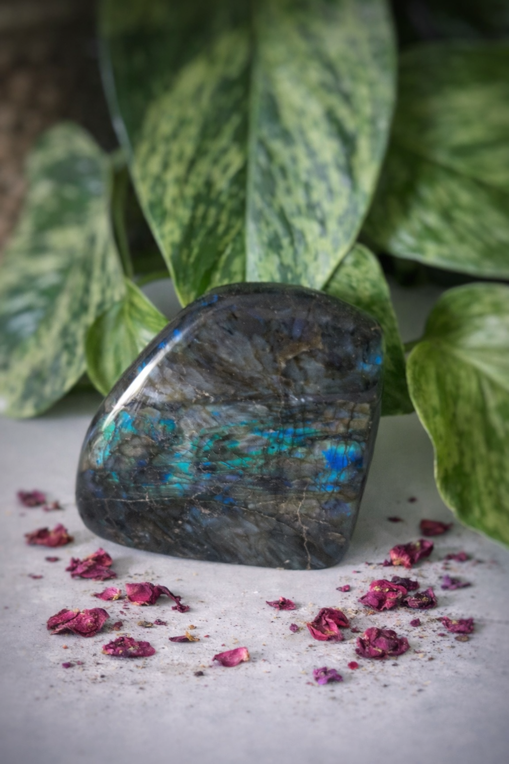 Labradorite bleue 340g