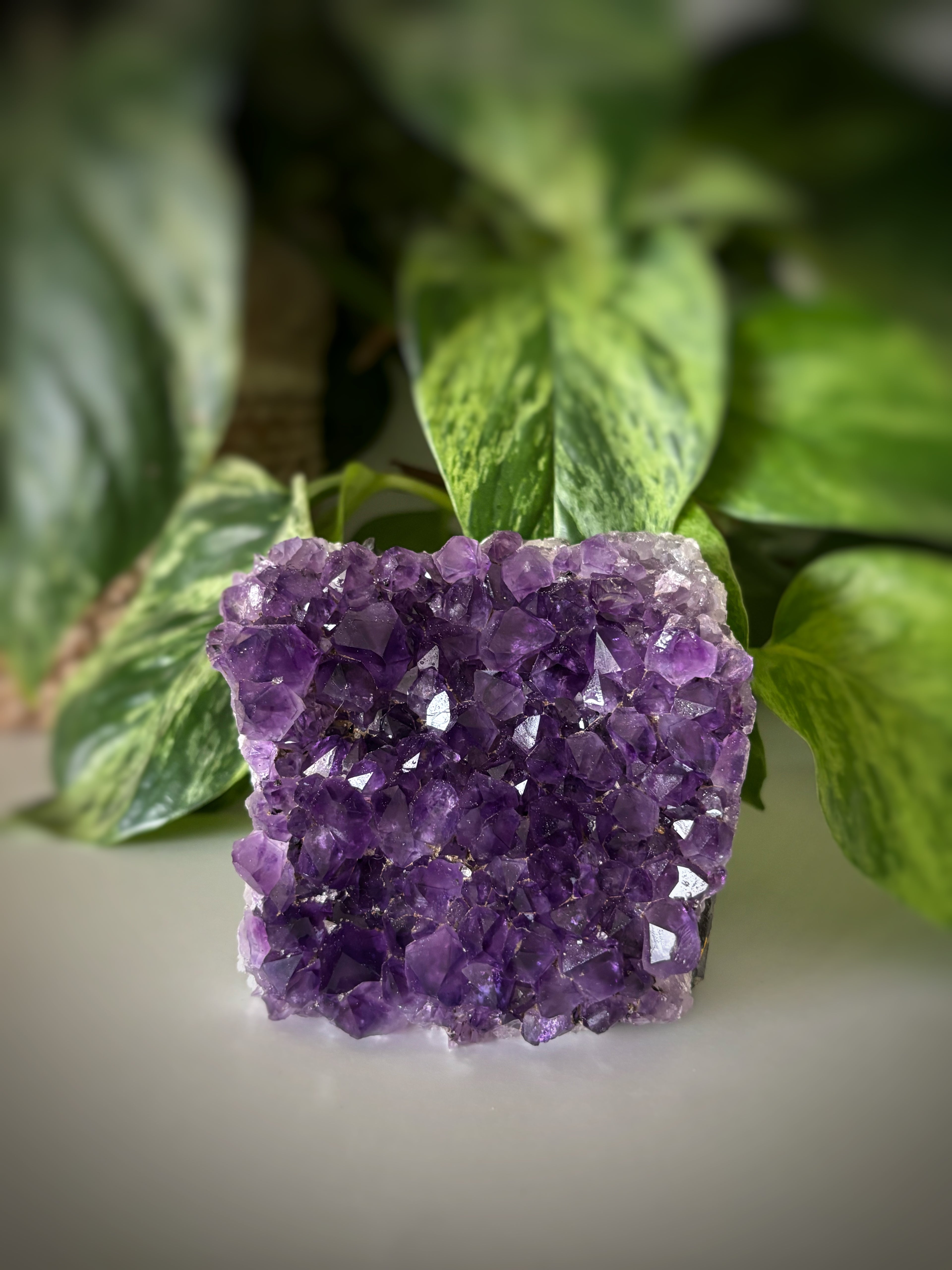 Géode améthyste 595g